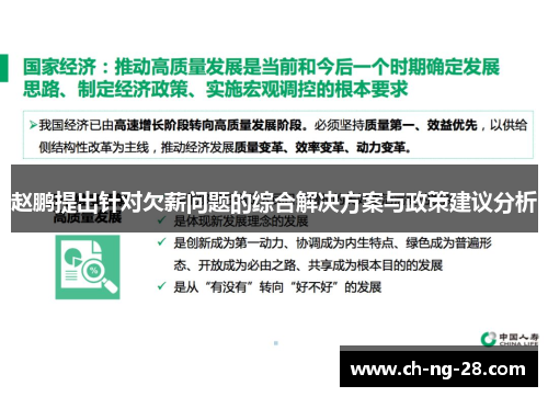 赵鹏提出针对欠薪问题的综合解决方案与政策建议分析
