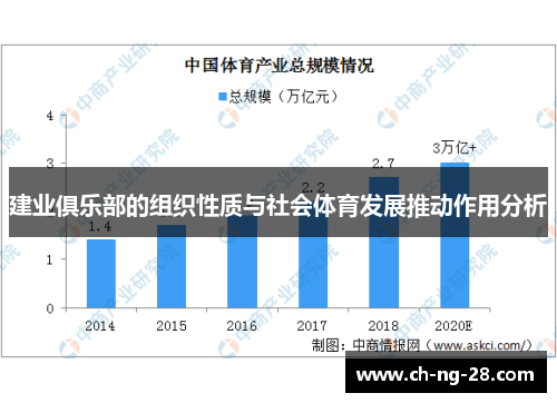 建业俱乐部的组织性质与社会体育发展推动作用分析