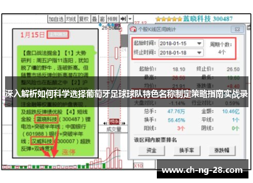 深入解析如何科学选择葡萄牙足球球队特色名称制定策略指南实战录