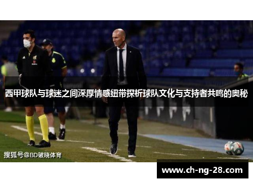 西甲球队与球迷之间深厚情感纽带探析球队文化与支持者共鸣的奥秘