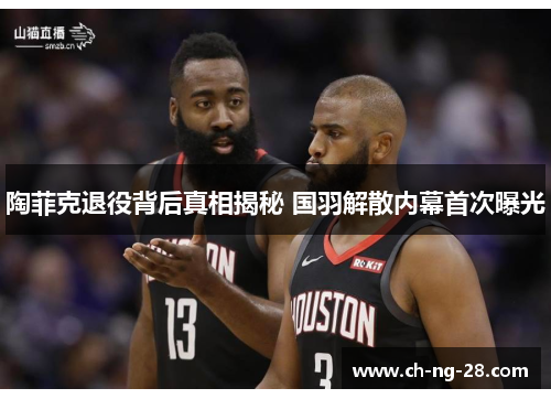 陶菲克退役背后真相揭秘 国羽解散内幕首次曝光