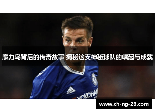 魔力鸟背后的传奇故事 揭秘这支神秘球队的崛起与成就