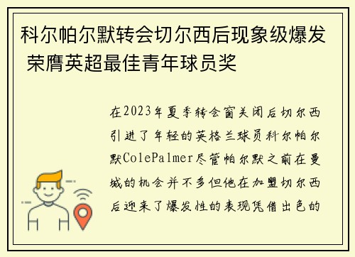 科尔帕尔默转会切尔西后现象级爆发 荣膺英超最佳青年球员奖