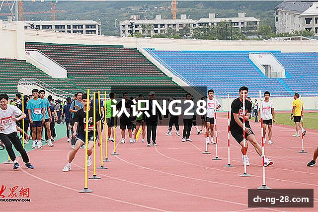 认识NG28